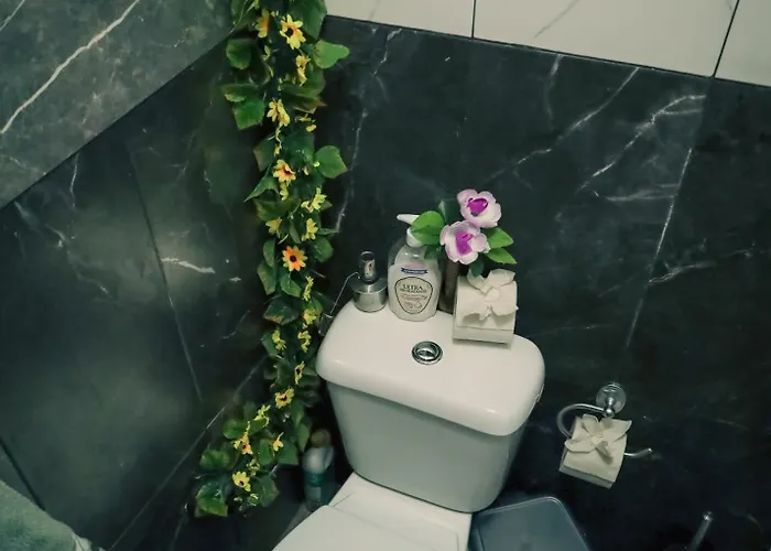 Amantes De La Naturaleza. * Achadas da Cruz